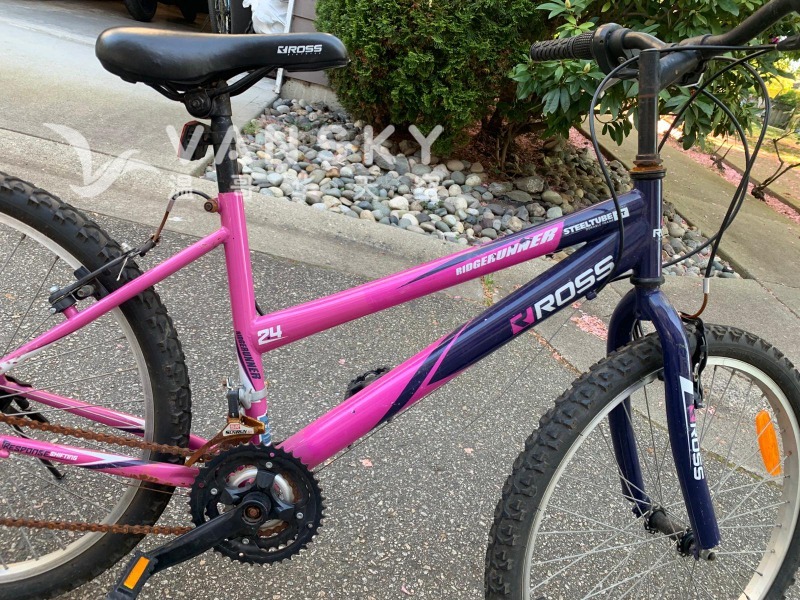 260503195444_Ross 24 inch bike 2O5.jpeg